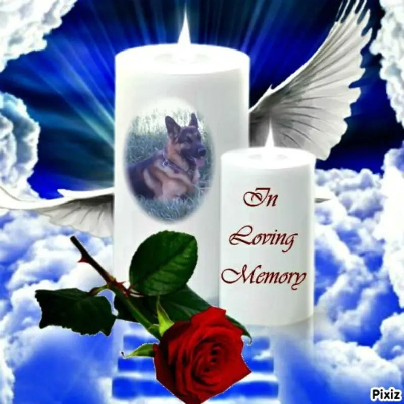 Condolence image of ❤️❤️❤️❤️❤️❤️❤️❤️❤️❤️❤️❤️❤️❤️