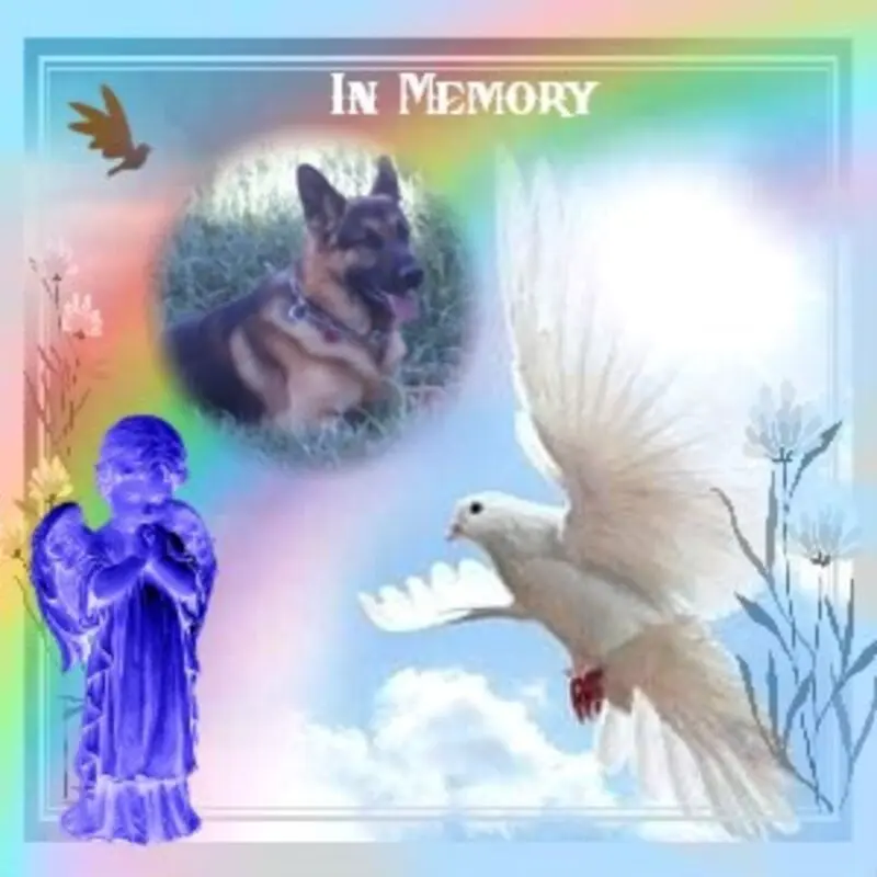 Condolence image of ❤️❤️❤️❤️❤️❤️❤️❤️❤️❤️❤️❤️❤️❤️