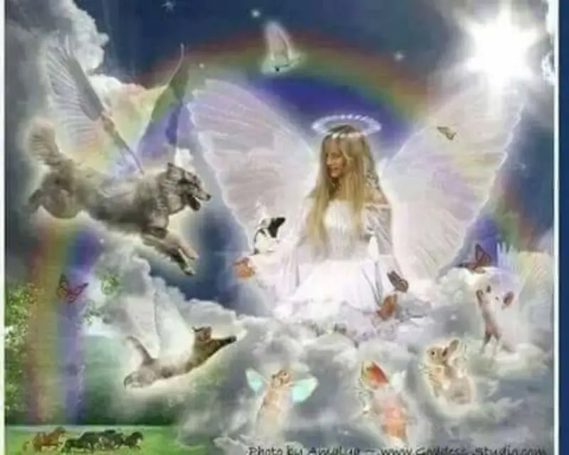 Condolence image of Silvia  Knorr 