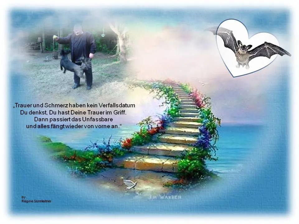 Image from Lucky
