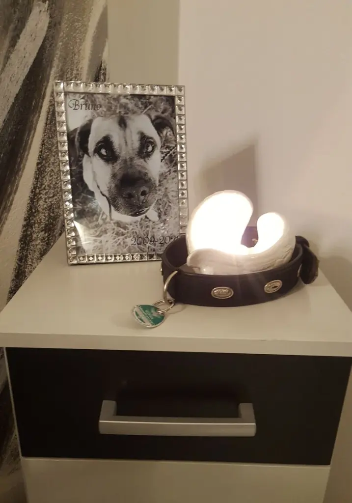 Condolence image of von Frauchen