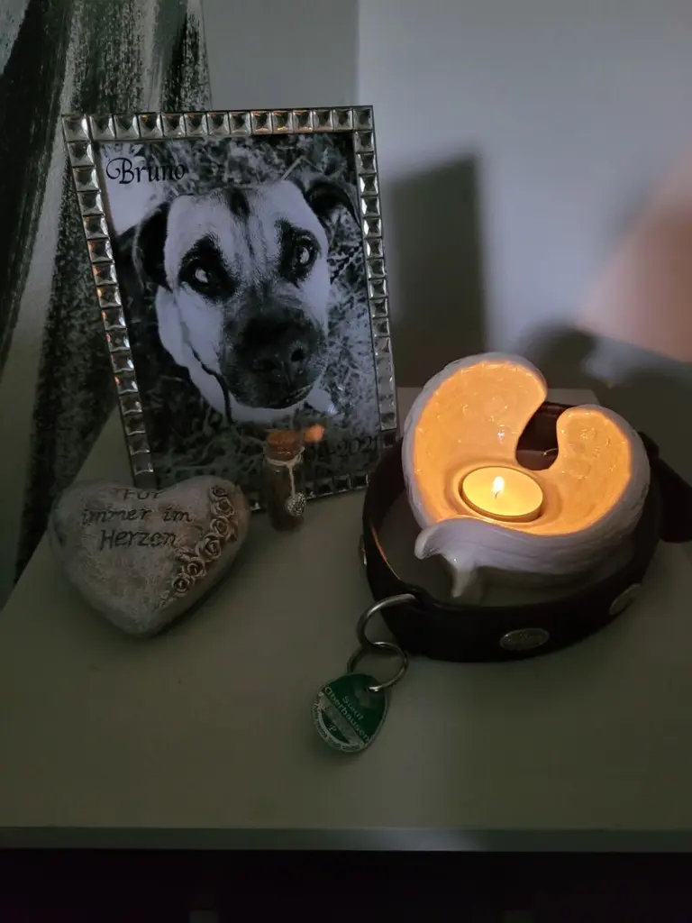 Condolence image of Von Frauchen♡