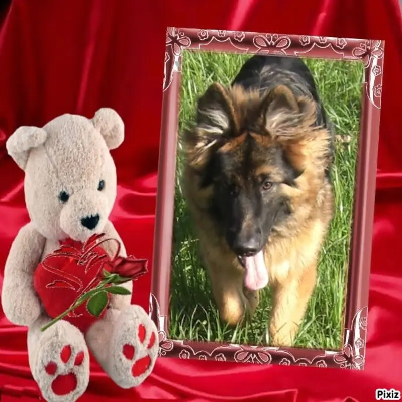 Andachtsbild von Rosen❤️❤️❤️❤️❤️fur Nele❤️