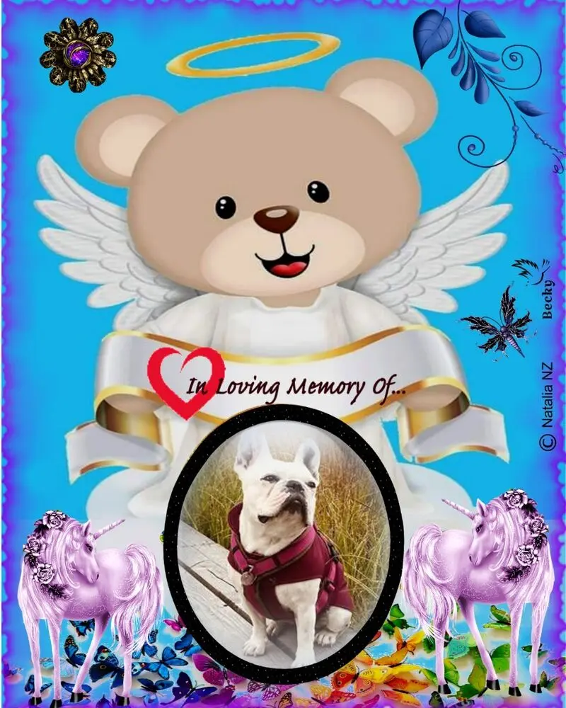 Andachtsbild von ❤️❤️❤️❤️❤️❤️❤️❤️❤️❤️❤️❤️❤️❤️