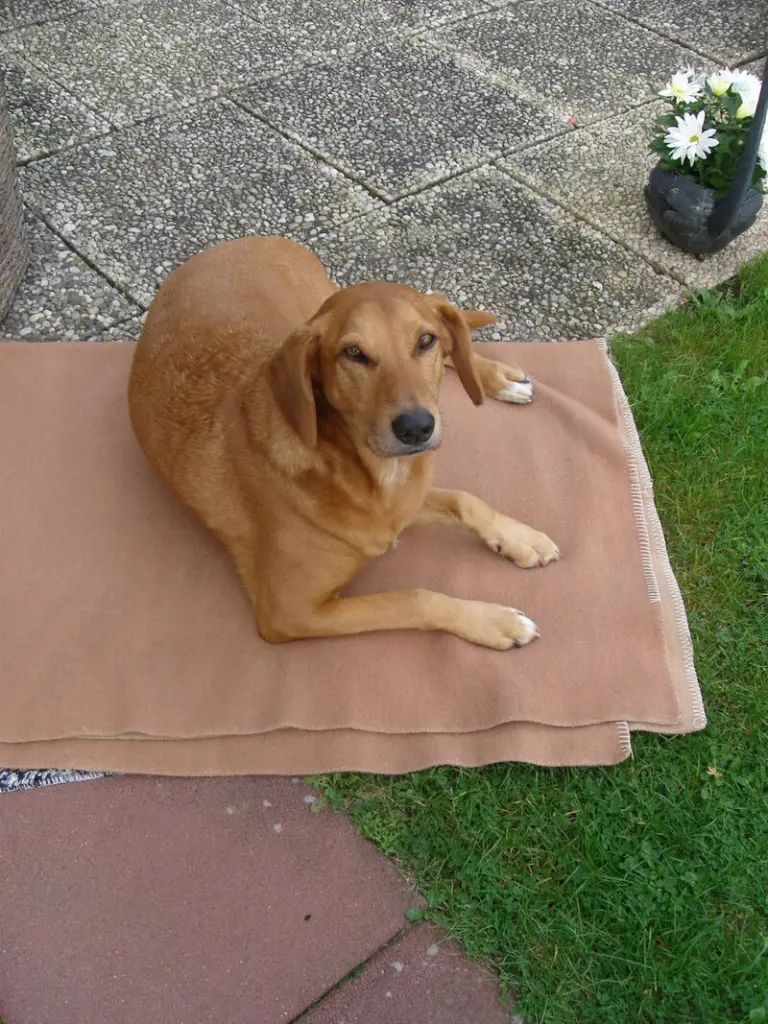 Andachtsbild von Marlies mit Pietsch tief im Herzen