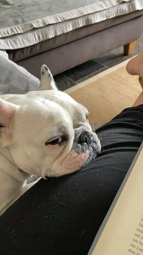 Andachtsbild von Omi