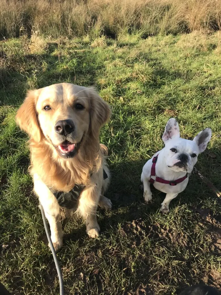 Andachtsbild von Manu