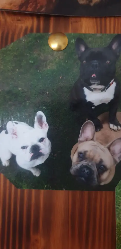 Andachtsbild von King und Prince