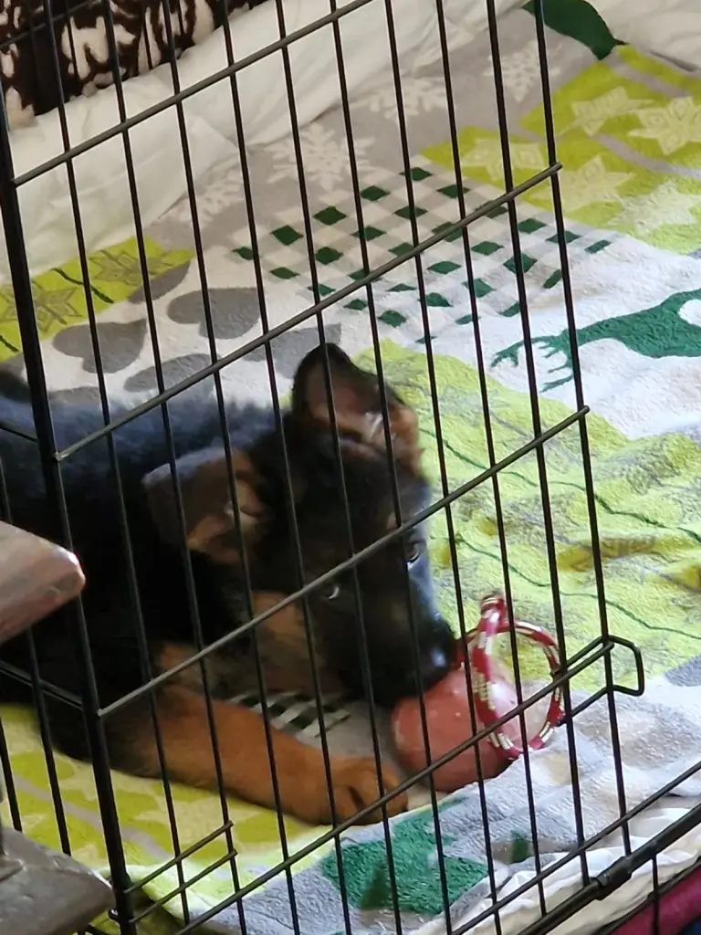 Condolence image of Unbekannt