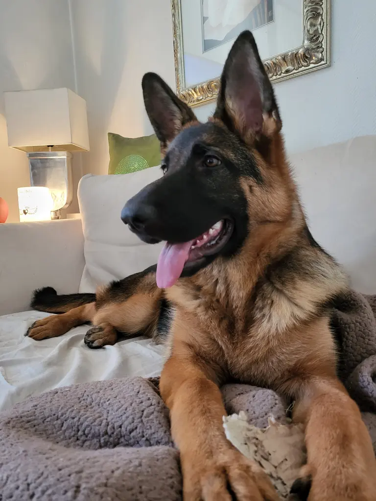 Condolence image of Unbekannt