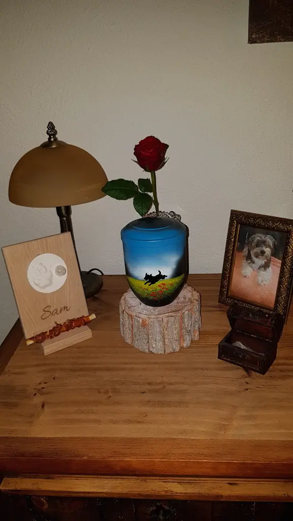 Image from Sam