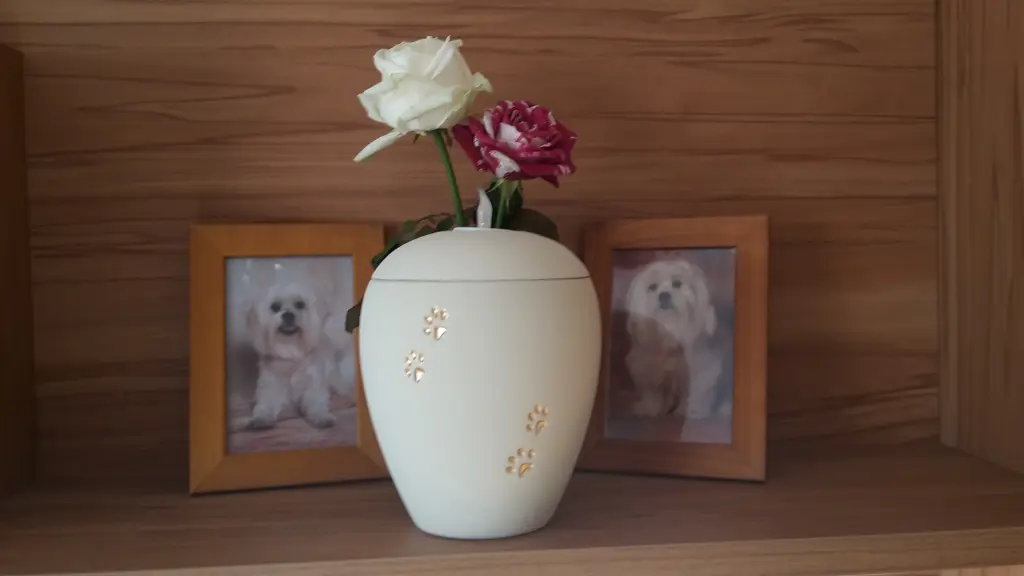 Condolence image of Nicole