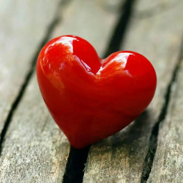 Condolence image of Kerstin