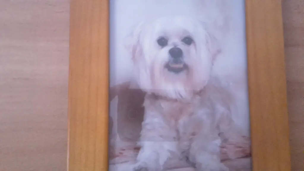 Condolence image of Nicole