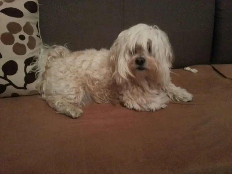 Condolence image of Nicole