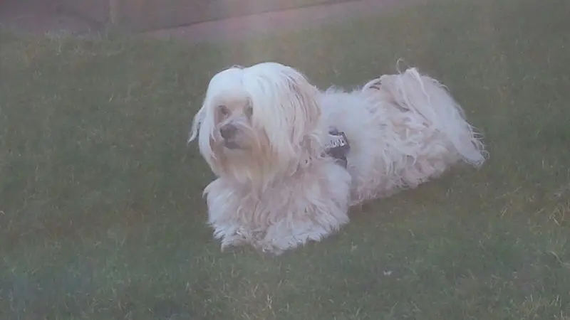 Condolence image of Nicole 