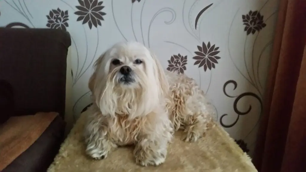 Condolence image of Nicole 