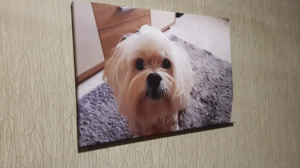 Condolence image of Nicole 