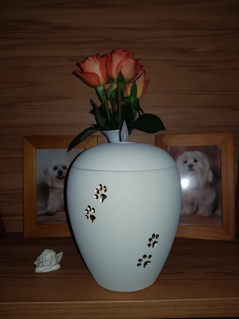 Condolence image of Nicole