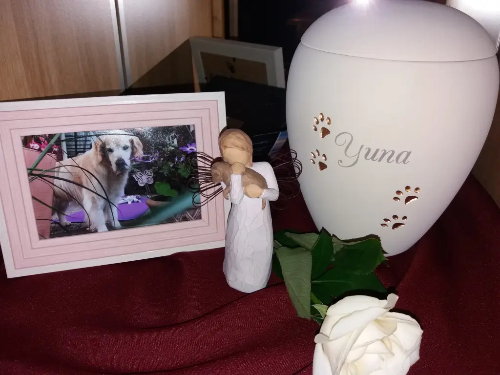 Image from Yuna