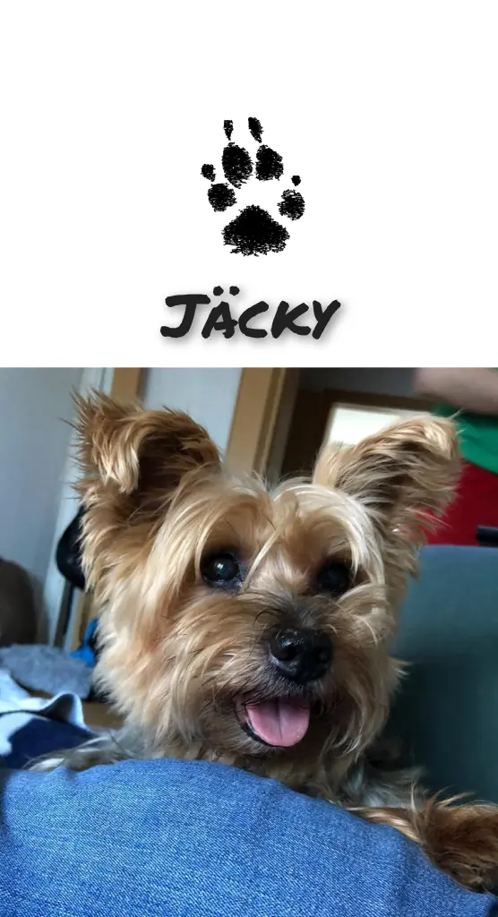 Bild von Jäcky
