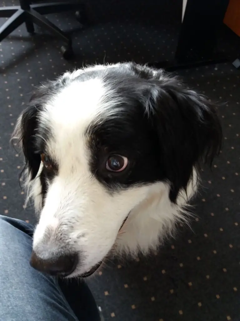 Andachtsbild von Tanja O.