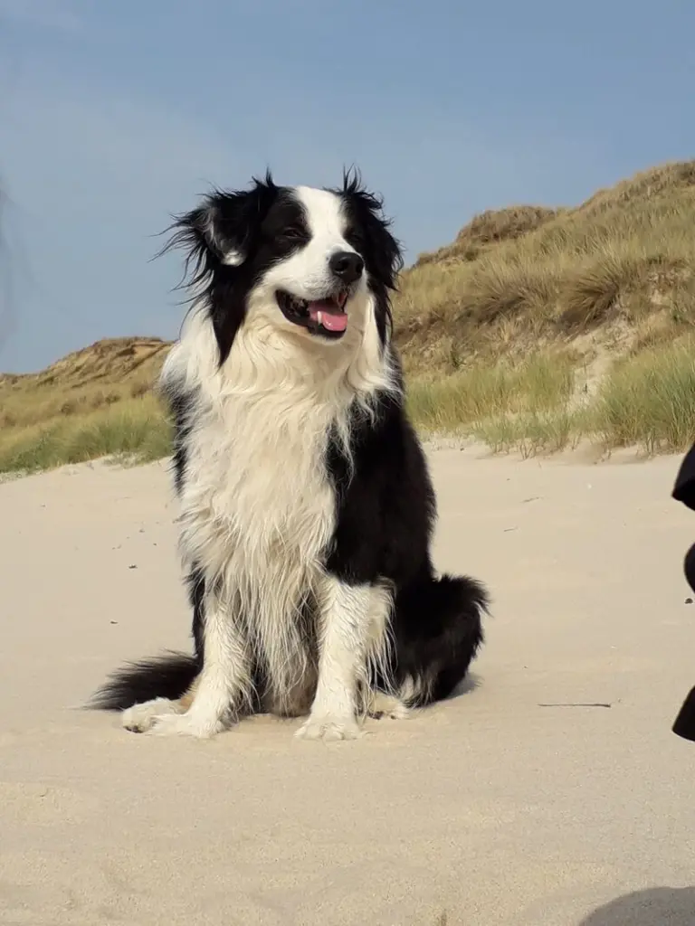 Andachtsbild von Steffi