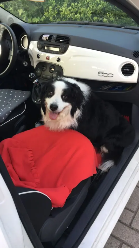 Andachtsbild von Lisa