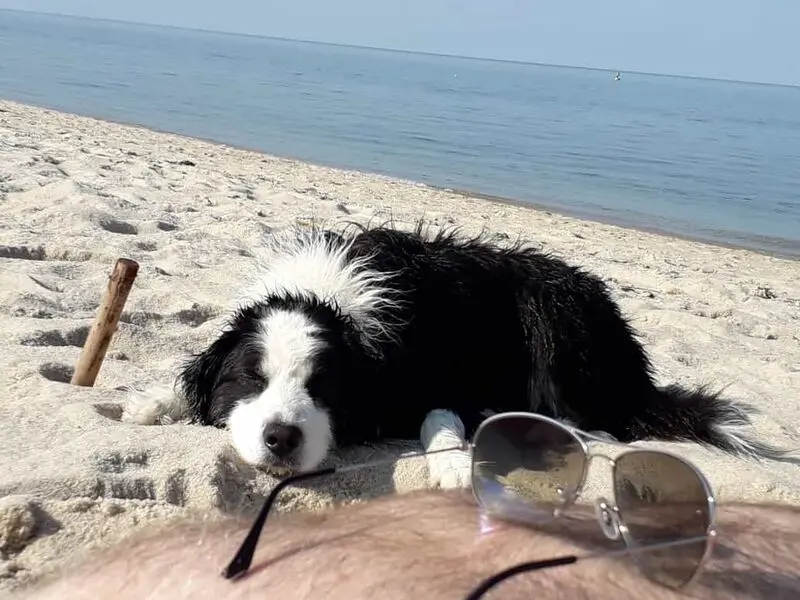 Andachtsbild von Birgitta und Franz