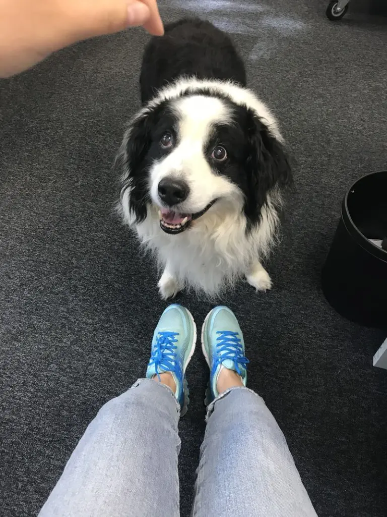 Andachtsbild von Tatiana