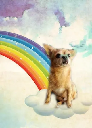 Image from Snoopy
