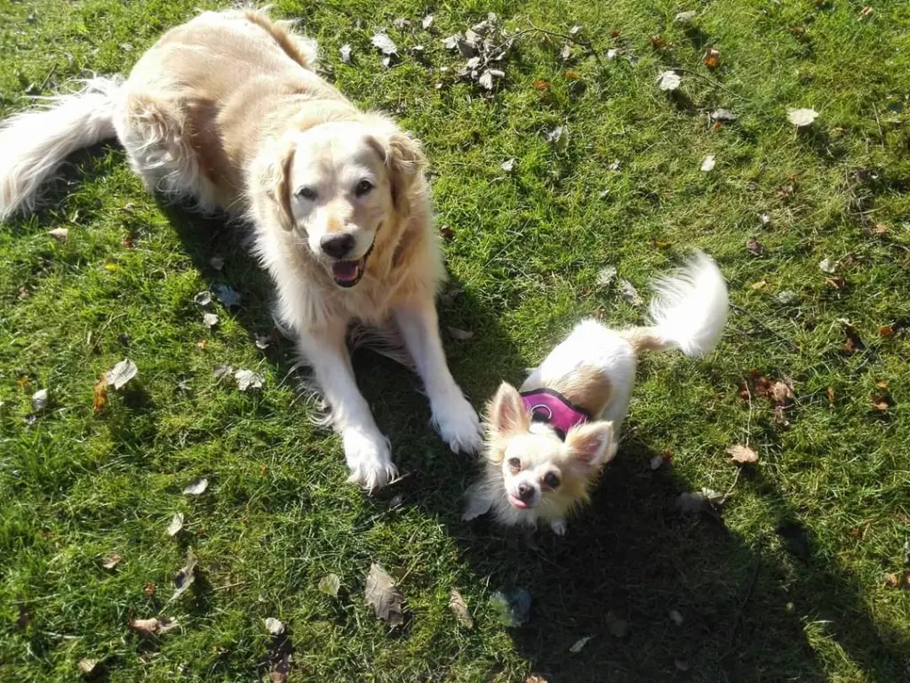 Image from Flane