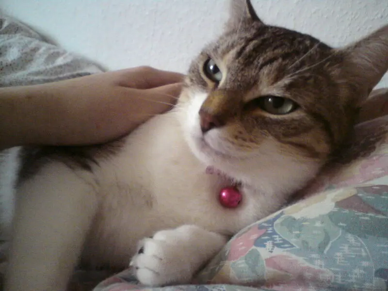 Image from Luna