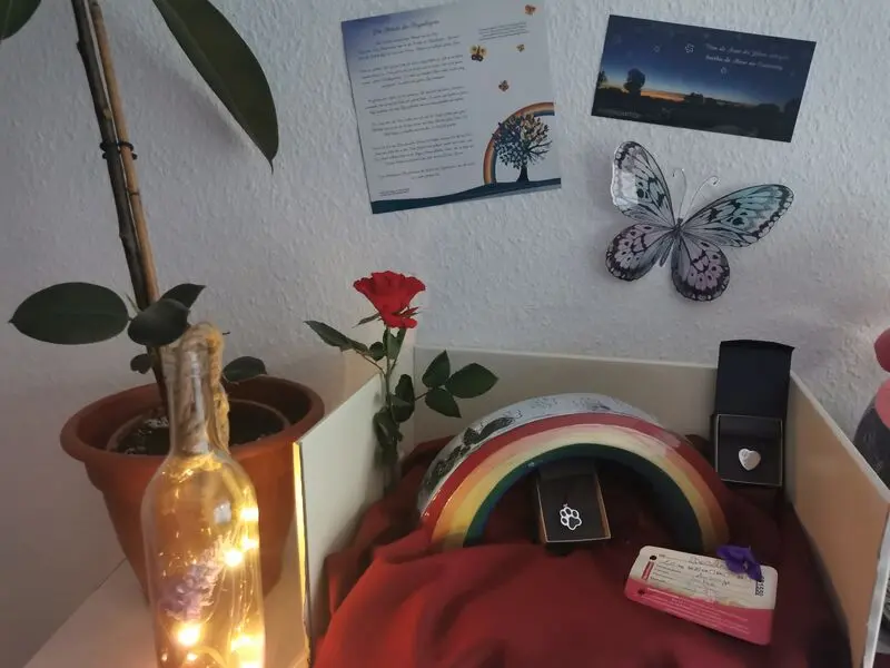 Condolence image of Nicole Ansorge