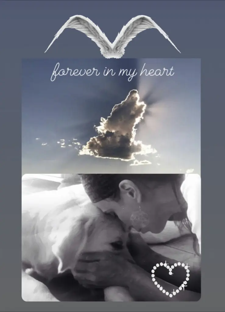 Condolence image of Madeleine mit Harley im Herzen ❤️