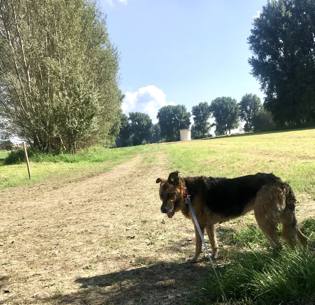 Image from Xinny