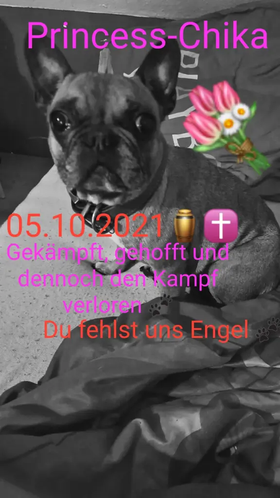 Image from Mika