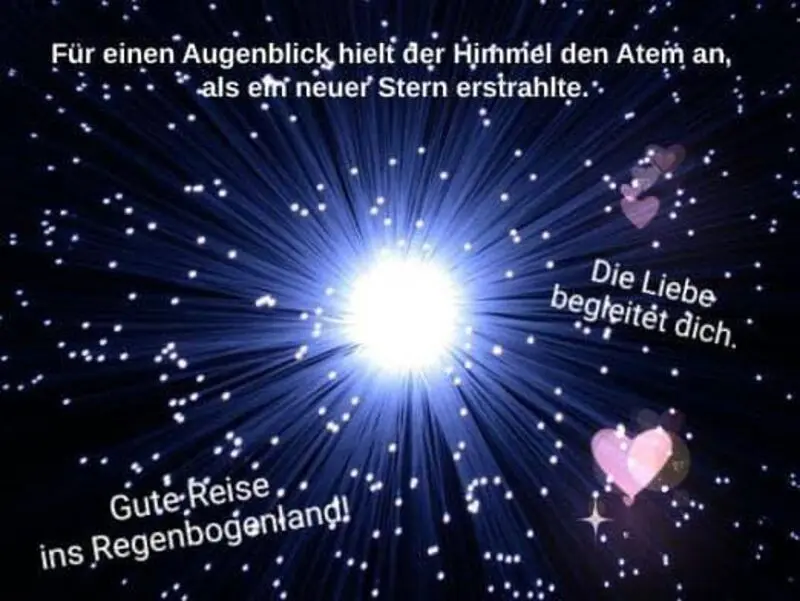 Condolence image of Ina Erberich