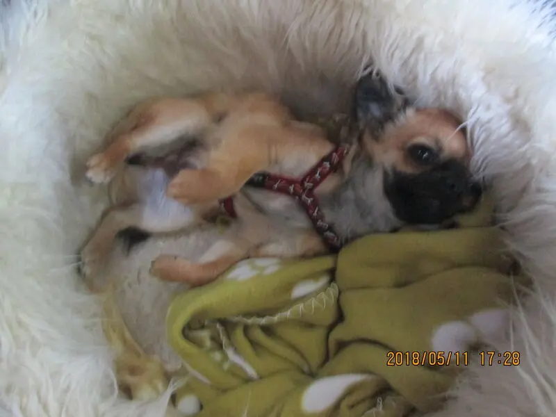 Image from Vicky
