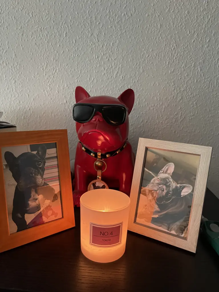 Condolence image of Unbekannt