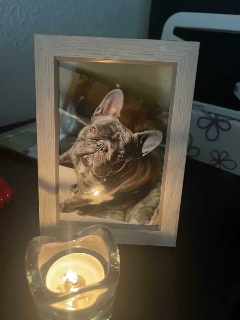 Condolence image of Unbekannt