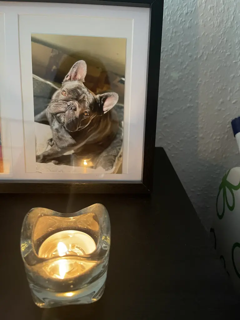 Condolence image of Unbekannt