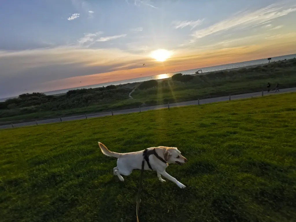 Image from Milow