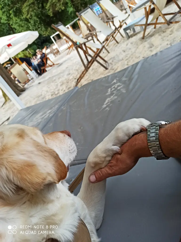 Image from Milow