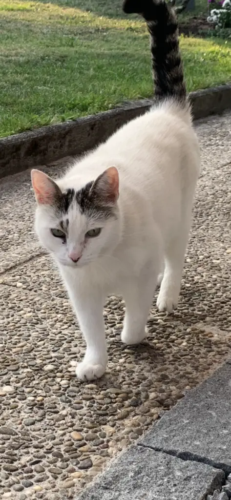 Andachtsbild von Inge u. Tassilo