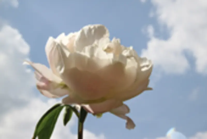 Condolence image of Unbekannt