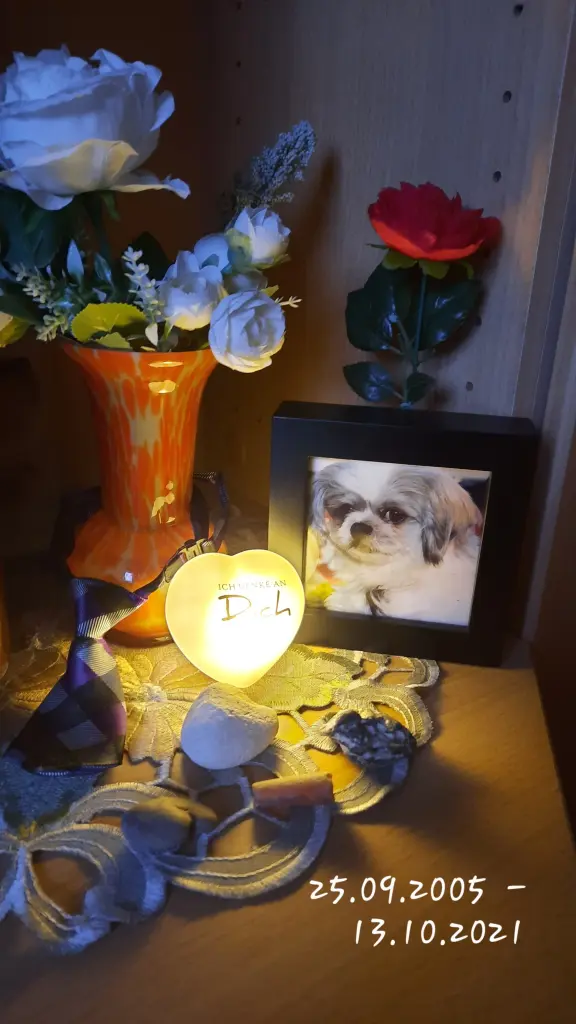 Condolence image of Peter und Manuela mit Rommy