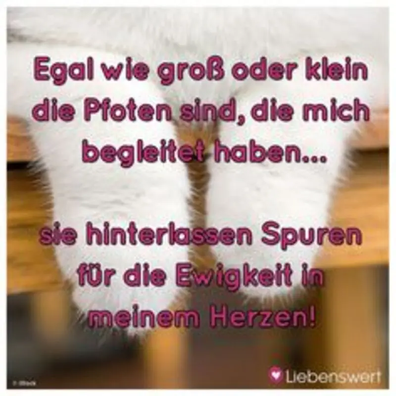 Andachtsbild von Christina