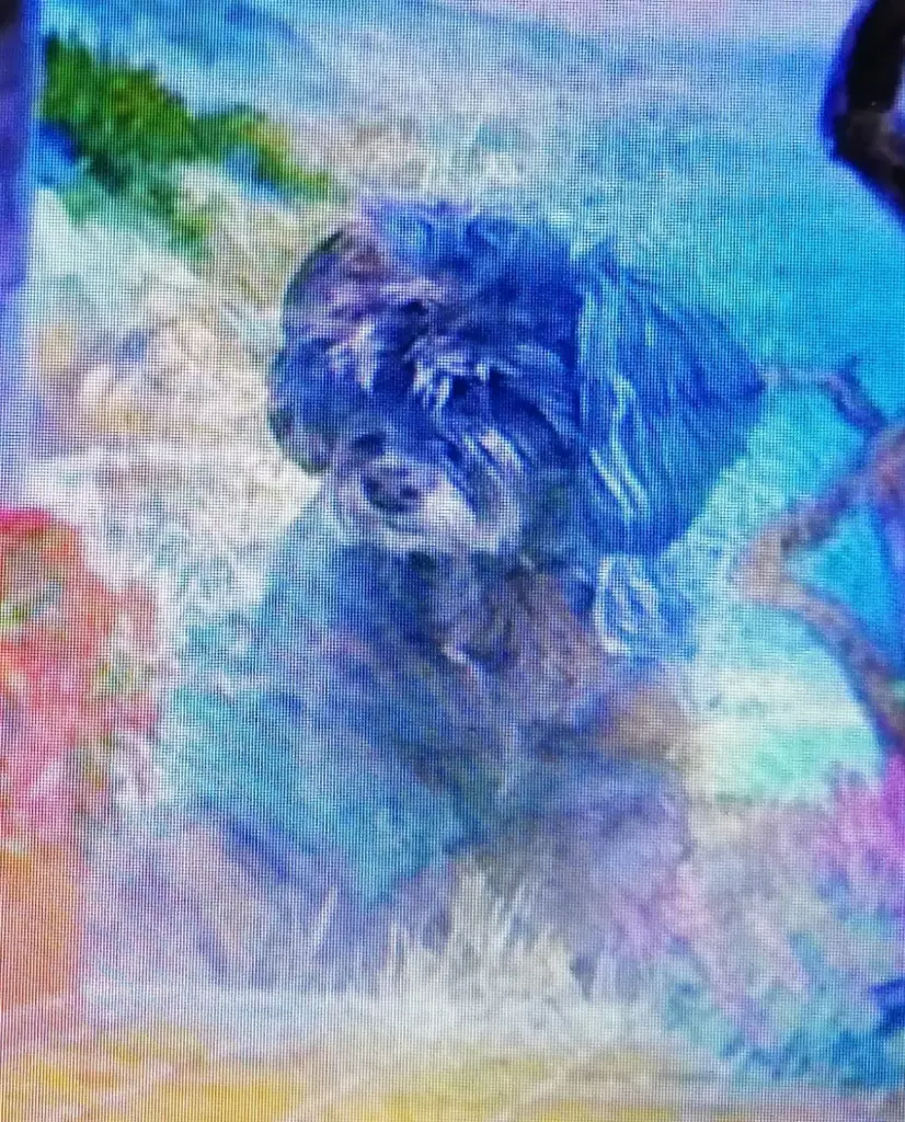 Andachtsbild von von Fiby für Shila
