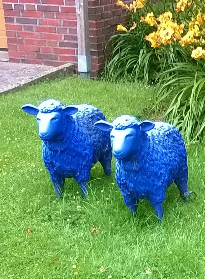 Andachtsbild von Für Shila